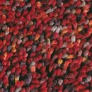 Tapis shaggy Brink & Campman rouge ROCKS