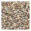 Tapis STONE Beige - Brink & Campman