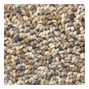 Tapis Brink & Campman STONE beige pure laine vierge