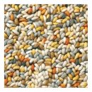 Tapis jaune pure laine vierge STONE Brink & Campman