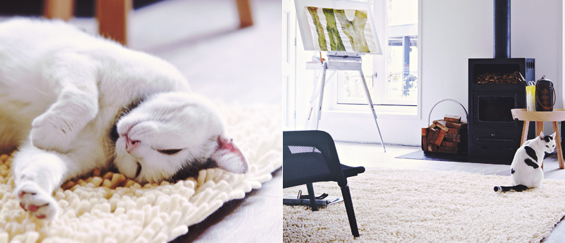 label de qualite tapis care and fair
